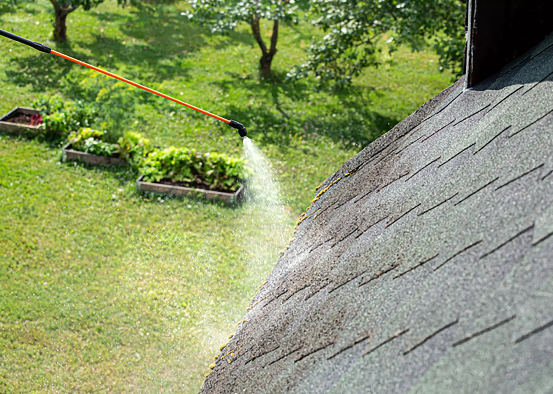 A hose sprays moss and mold from a residential roof, showcasing best roof maintenance practices.